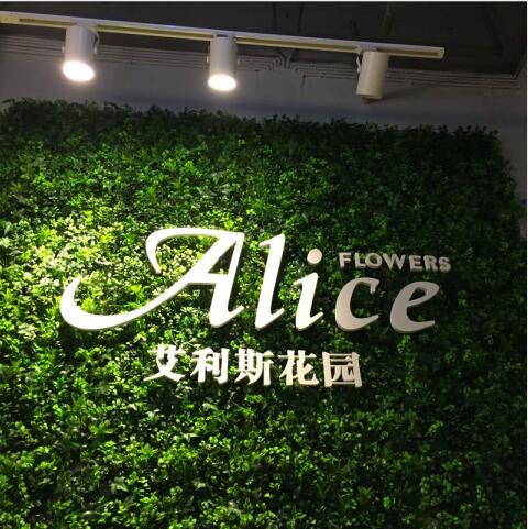 綠植墻加PVC字 綠植墻加PVC字